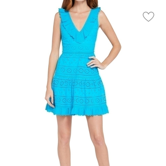 Alice + Olivia Cantara Lace Overlay Dress - Picture 1 of 13